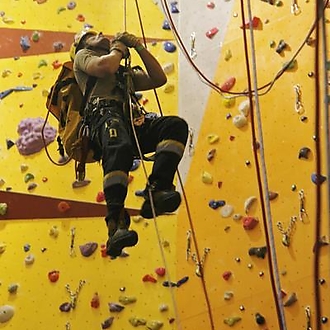 Photos from the previous year